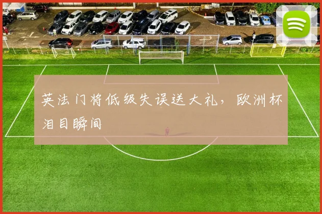 英法门将低级失误送大礼，欧洲杯泪目瞬间