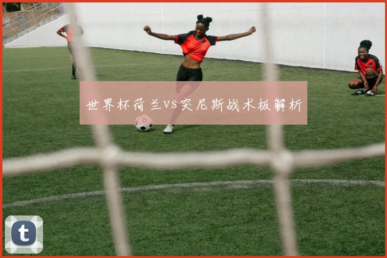 世界杯荷兰vs突尼斯战术板解析