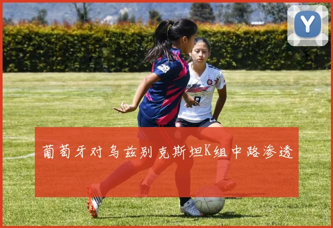 葡萄牙对乌兹别克斯坦K组中路渗透