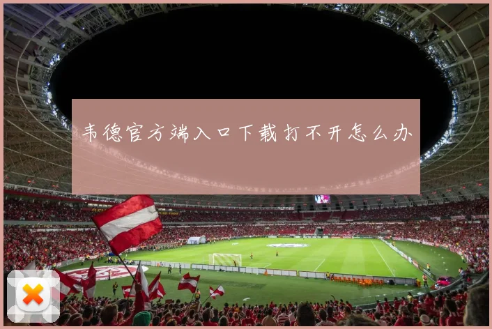 韦德官方端入口下载打不开怎么办