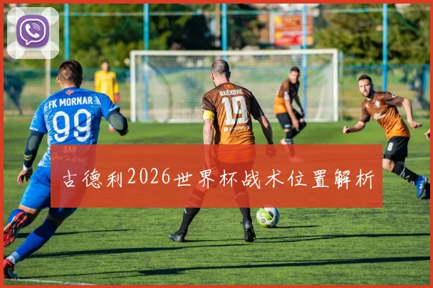 古德利2026世界杯战术位置解析